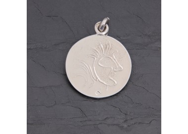 Médaille gauloise Tête celte CTS-3 argent rhodié | Pattrice